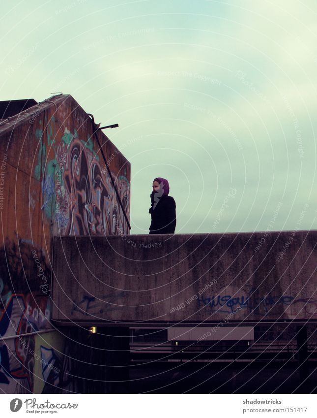 Free & Outdoors House (Residential Structure) Woman Adults Art Sky Town Parking garage Roof Concrete Colour Street art graffiti aerosol Detail