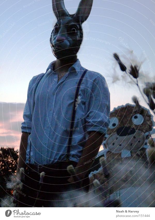 Harvey and a distant relative Mask Friendship Portrait photograph Field Dusk Twilight Man African rabbits imagination Fantasy literature