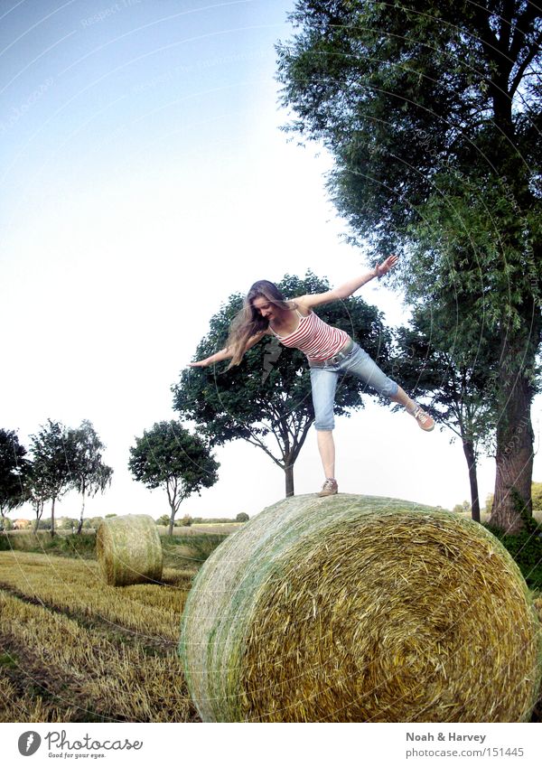 balancing act Summer Contentment Tree Sky Young woman Contrast Happiness Joy Exuberance