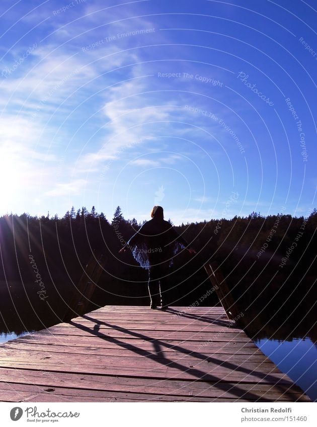 ... by the lake Clouds Pond Water Footbridge Sun Autumn Summer Woman Lake Body of water Relaxation Environmental protection Nature Landscape Calm