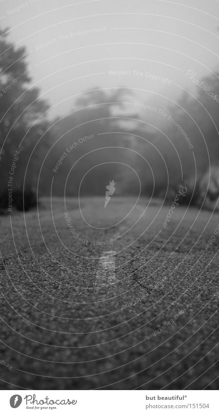 road to nowhere° Black & white photo Street Fog Corsica Eerie Longing Wanderlust Traffic infrastructure gr20 Fear Spooky