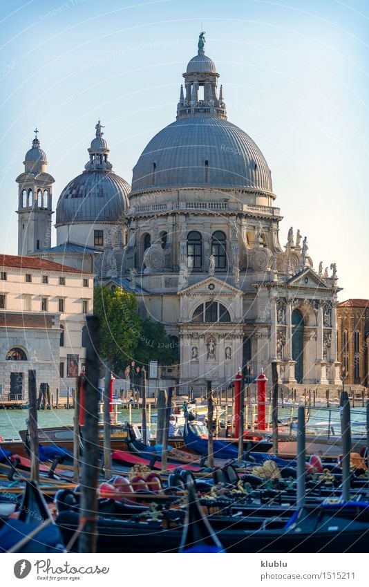 View of venice, Italy Ocean Island Small Town Church Building Architecture Facade Watercraft Bird Historic Maritime Religion and faith Vantage point eye