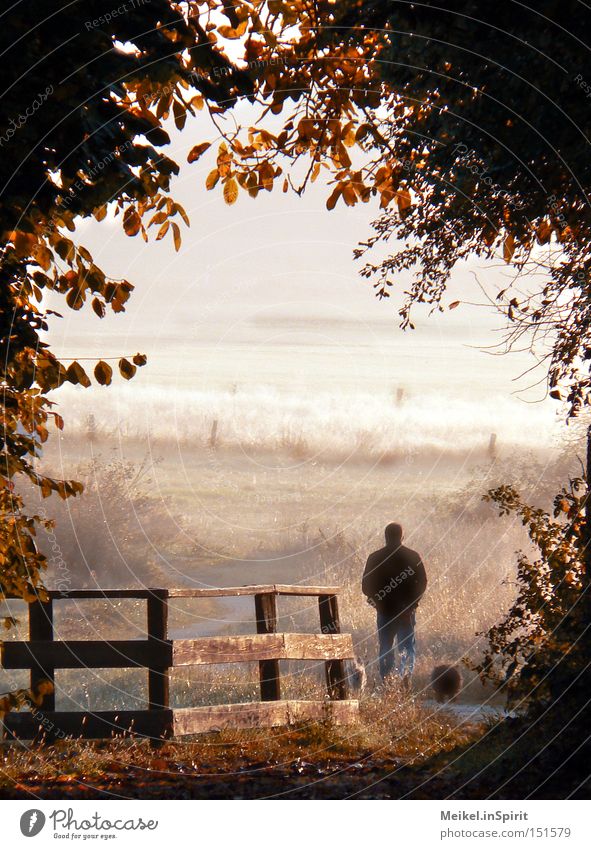 stroll Life Hiking To go for a walk Promenade Man Adults Nature Sunrise Sunset Autumn Beautiful weather Fog Leaf Meadow Field Dog Brown Yellow Concern Moody