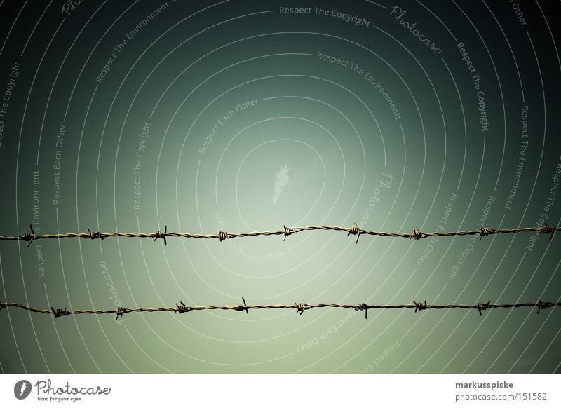 border demarcation Border Wire Barbed wire Dangerous Border checkpoint Dividing line Control barrier Barrier Historic Detail Fear Panic Thorn Metal Threat