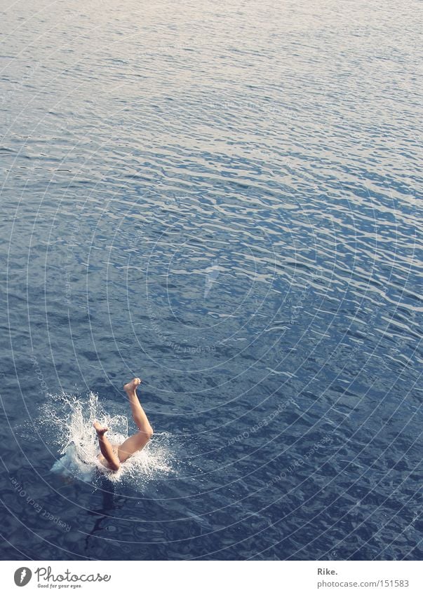 Dive in. Water Jump Ocean Blue Vacation & Travel Summer Legs Hop Inject Swimming & Bathing Go under To fall Joy Playing