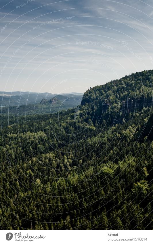 Light forest, dark forest Environment Nature Landscape Plant Sky Clouds Sun Sunlight Summer Beautiful weather Tree Foliage plant Forest Hill Rock Mountain