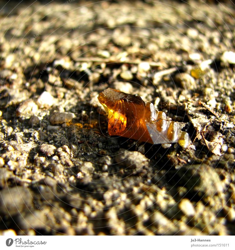 residual beer diamond Glass Shard Reflection Sunlight Ground Glittering Ease Detail Macro (Extreme close-up) Light (Natural Phenomenon) Crystal Diamond