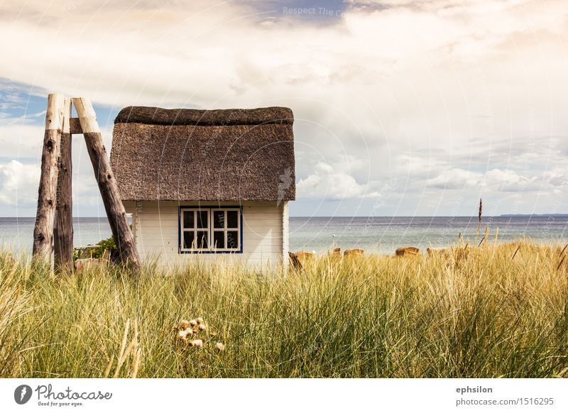 beach house Environment Nature Landscape Water Sky Sun Spring Summer Autumn Beautiful weather Waves Coast Lakeside Beach Bay Baltic Sea Ocean Outskirts Hut