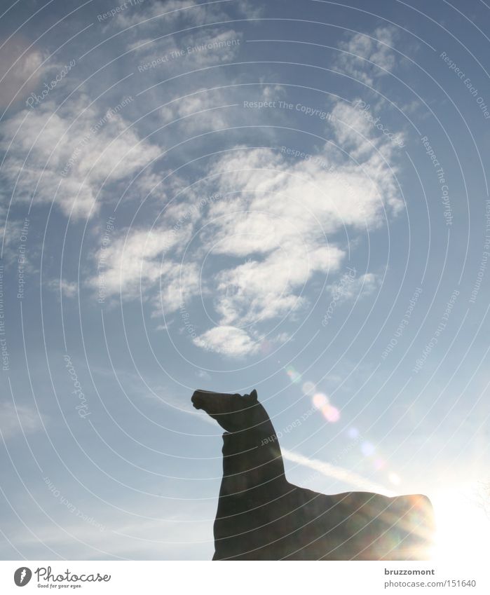 The left horse tamer Horse Sky Back-light Clouds The horse tamer Cirrus Lens flare Duesseldorf Looking Landmark Monument Nordpark