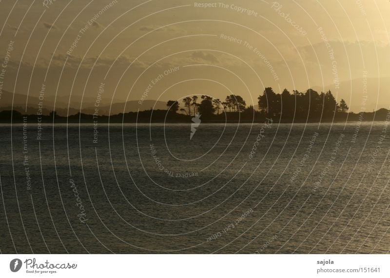 It was all just a dream. Ocean Landscape Water Horizon Fog Tree Sadness Soft Moody Peace Dusk Sunset New Zealand Haze Dunedin Colour photo Subdued colour