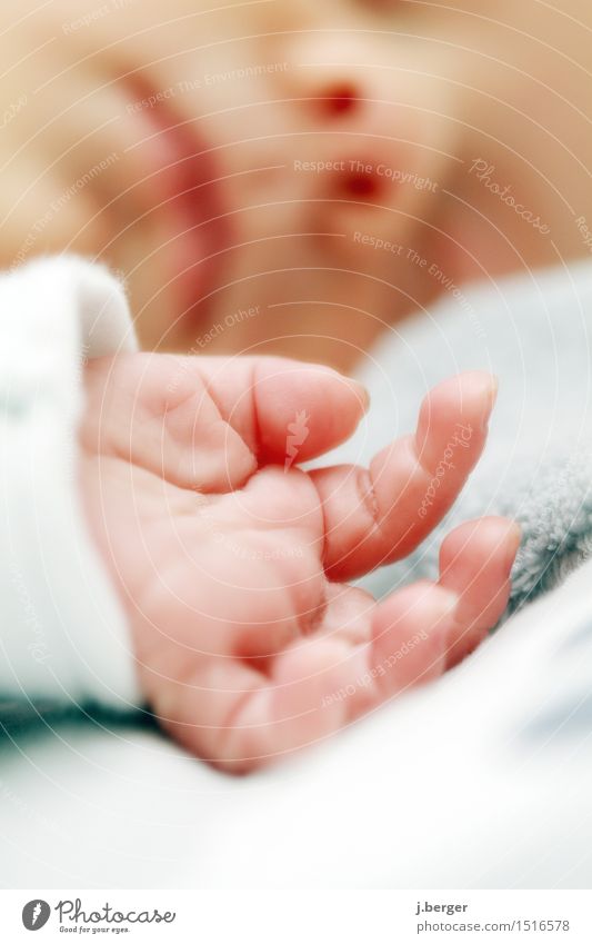 Sleep Child Baby Toddler Head Face Nose Mouth Lips Hand Fingers 1 Human being 0 - 12 months Soft Blue Red White Colour photo Subdued colour Interior shot