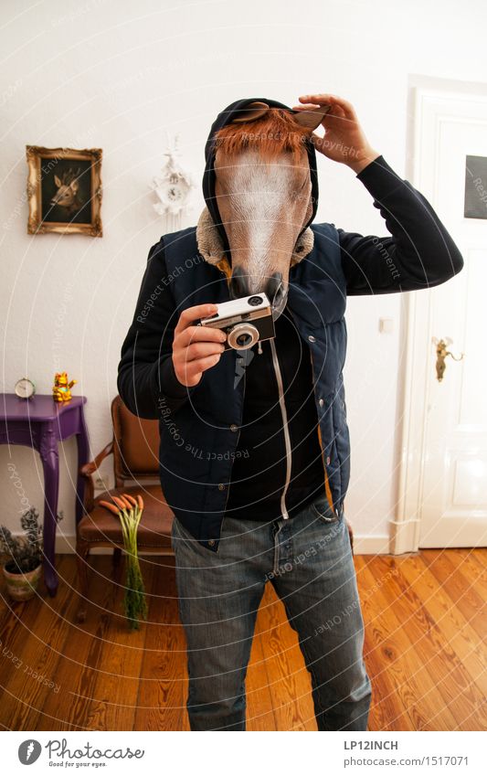 LP. HORSEMAN. XVII Living or residing Flat (apartment) Interior design Decoration Carnival Hallowe'en Masculine Man Adults 1 Human being Animal Horse Think