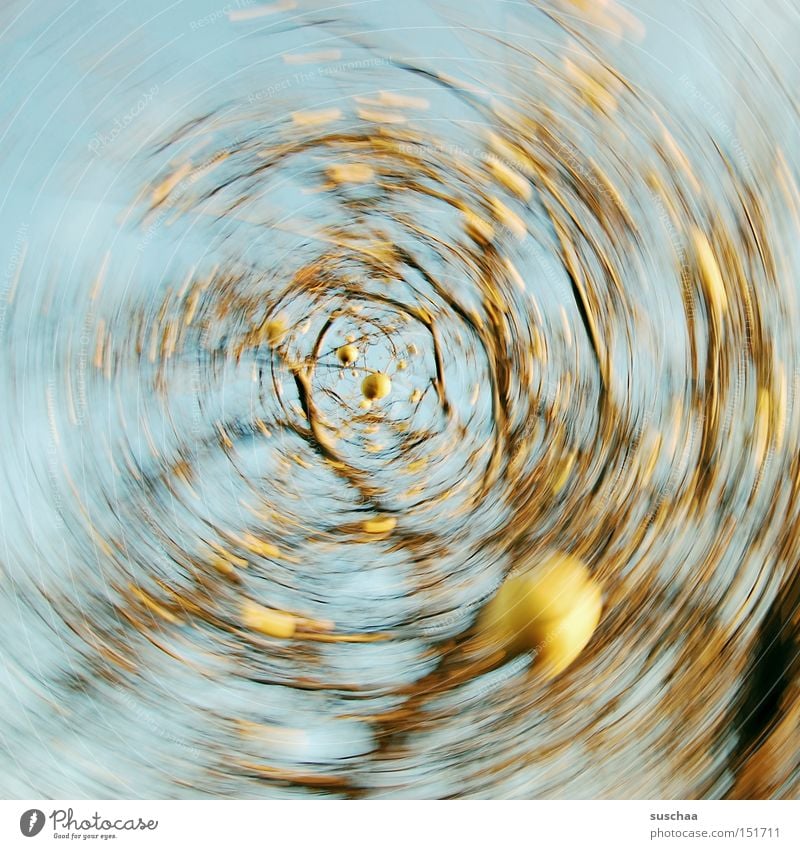 apple strudel Apple tree Branch Tree Sky Whirlpool Round Rotation Motion blur Swirl Movement