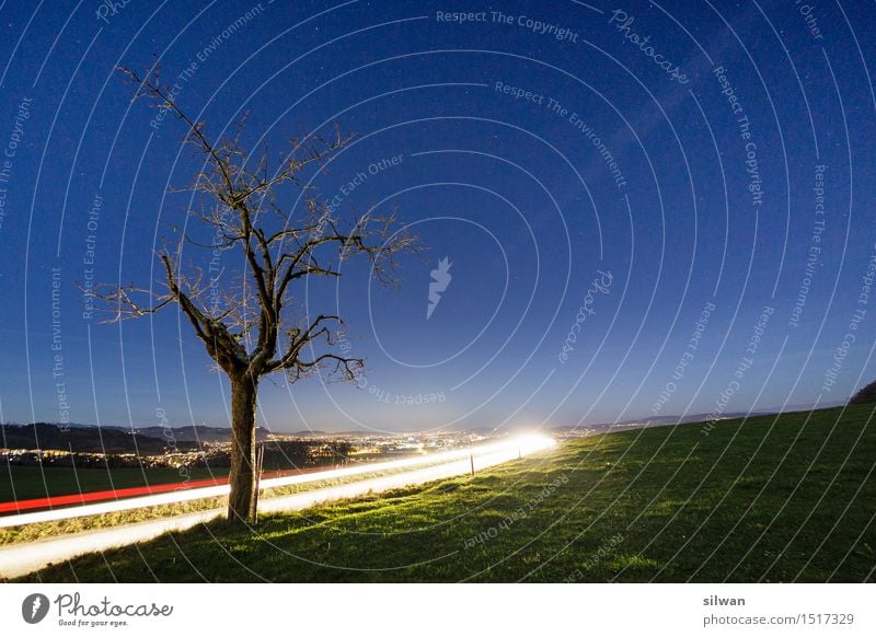 Light track tree at night Landscape Sky Cloudless sky Night sky Stars Horizon Autumn Tree Grass Meadow Illuminate Stand Esthetic Cool (slang) Infinity Beautiful