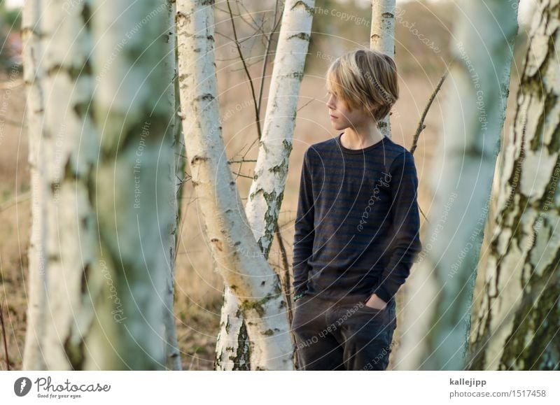 Between birch trees Human being Child Boy (child) Infancy Life Head Hair and hairstyles Face 1 Stand Birch wood Tree bark Forest Colour photo Exterior shot Day