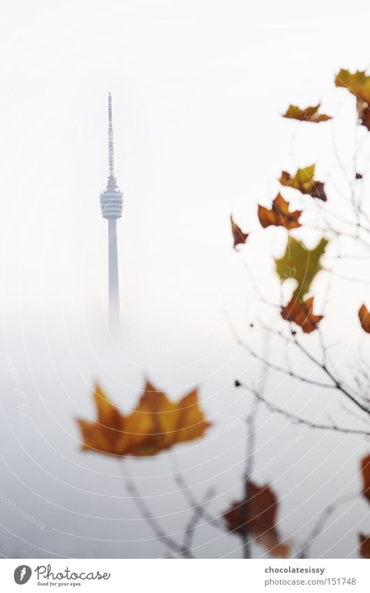 Benztown in autumn Television tower Stuttgart Baden-Wuerttemberg Tower Radio (broadcasting) Vantage point Autumn Fog Leaf Broadcasting tower Landmark Monument