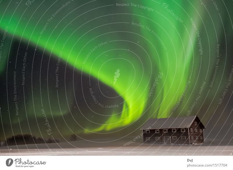 Jämtland's green nights Nature Landscape Sky Night sky Stars Winter Snow Aurora Borealis Sweden Village Barn Exceptional Fantastic Yellow Green Black White Cold