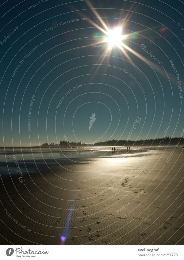 Traces in the sand Canada Vancouver Island Beach Sun Warmth Cute Far-off places Ocean Low tide