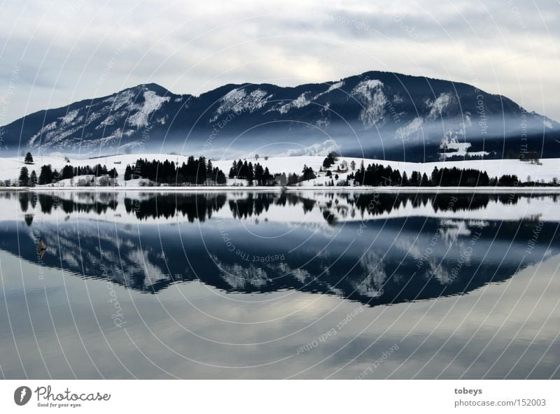 King Luis bathe Winter Mountain Fog Alps Lake Smoke Cold Allgäu Castle Neuschwanstein Mystic Mountain range Oberallgäu district forgensee reflection feet