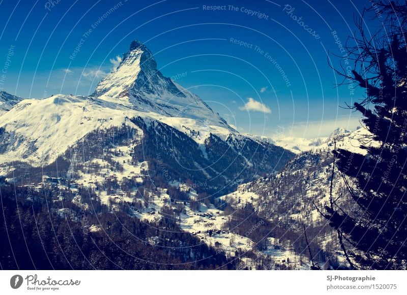 Matterhorn Switzerland Nature Landscape Cloudless sky Sun Sunlight Winter Beautiful weather Ice Frost Snow Tree Field Forest Alps Mountain Snowcapped peak