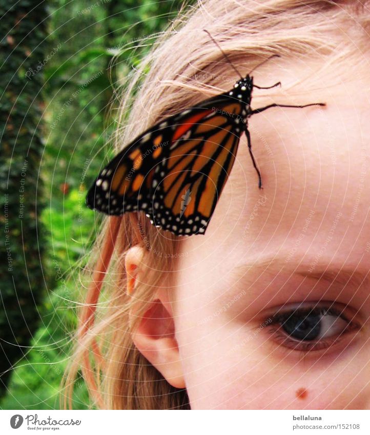 small miracles 2 Face Child Girl Eyes Nature Tree Flower Blossom Butterfly Beautiful Symbiosis Wonder Colour photo Multicoloured Interior shot Morning Day