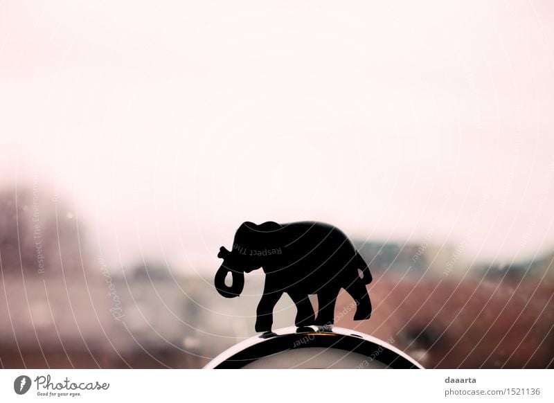 elephant igure Lifestyle Elegant Style Design Joy Harmonious Leisure and hobbies Playing Trip Adventure Freedom Living or residing Decoration Window Toys Animal