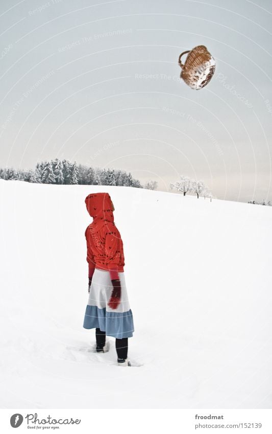 flying baskets Winter Snow Little Red Riding Hood Fairy tale Tree Mountain Switzerland Cold White Gray Calm Basket Bleak