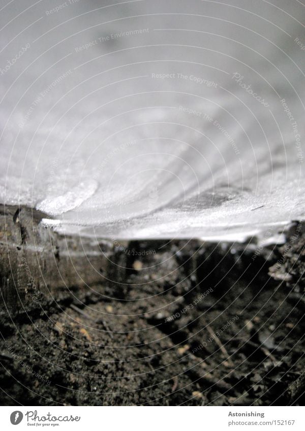 under the ice Winter Earth Ice Frost Dark Cold Under Black White Perspective Floor covering Ground Frozen surface Ice sheet Contrast Deserted Copy Space top