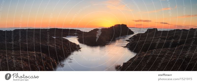 Long exposure of rocks at sunset Nature Landscape Summer Coast Beach Reef Ocean Stone Blue Brown Yellow Gold Orange Pink Silver Turquoise White Success Grief