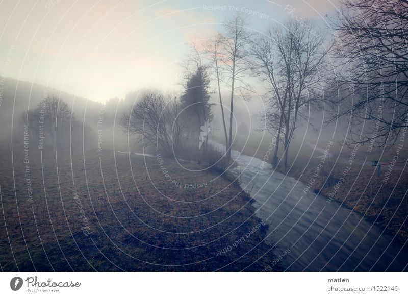 spring Nature Landscape Plant Clouds Sunrise Sunset Spring Weather Beautiful weather Fog Tree Grass Bushes Meadow Forest River bank Brook Blue Brown Gray White