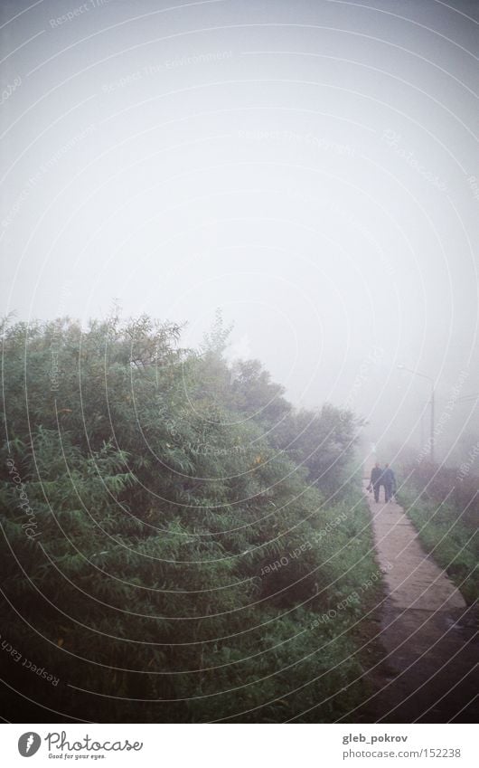 Fog. Fogged over Siberia Reflection Flower Blossom Green Sky White Human being Street Light Light (Natural Phenomenon) Russia Weather lightning effect