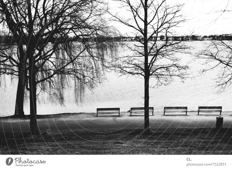 Alster Environment Nature Landscape Water Autumn Winter Tree Meadow Lake River Hamburg Bench Trash container Break Calm Black & white photo Exterior shot