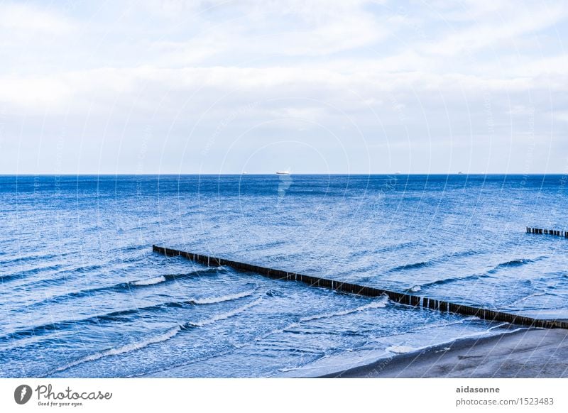 Baltic Landscape Water Horizon Winter Waves Beach Baltic Sea Attentive Calm Wanderlust Loneliness Mecklenburg-Western Pomerania Wooden stake Colour photo