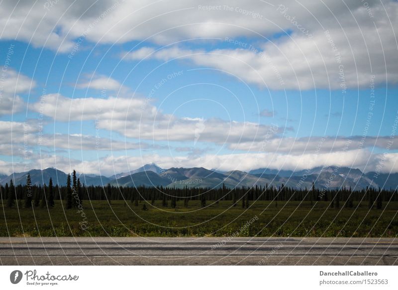 On the road in Alaska... Vacation & Travel Adventure Summer vacation Nature Landscape Sky Clouds Horizon Beautiful weather Tree Grass Bushes Meadow Forest