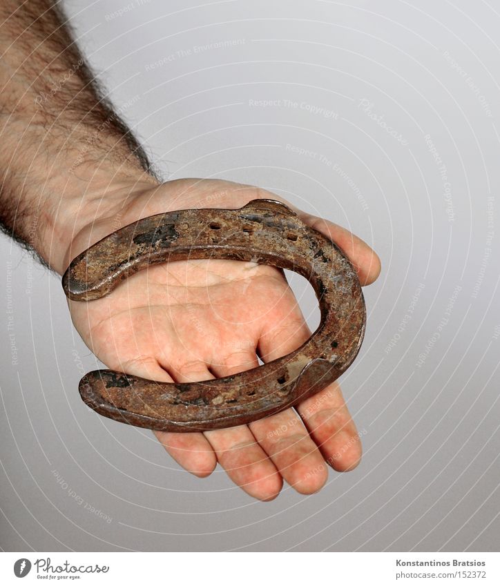 a handful of luck Colour photo Interior shot Close-up Copy Space top Neutral Background Artificial light Happy Contentment Game of chance Human being Arm Hand