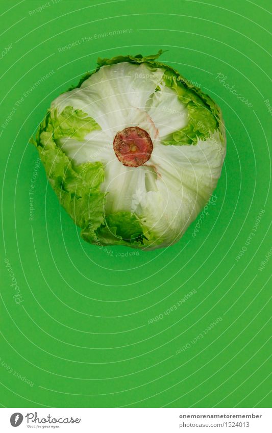 Iceberg ahead! Food Vegetable Lettuce Salad Business lunch Organic produce Slow food Art Esthetic Iceberg lettuce Green Vegetarian diet Healthy Eating