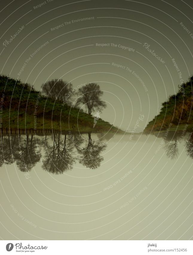 down under Water Mirror Reflection Brook Lake River Tree Sky Clouds Coast Lakeside River bank Nature Landscape Autumn Escarpment