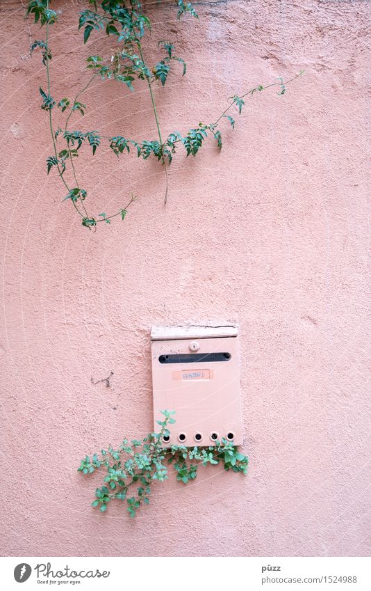 letterbox Living or residing Flat (apartment) House (Residential Structure) Nature Plant Leaf Foliage plant Village Small Town Wall (barrier) Wall (building)