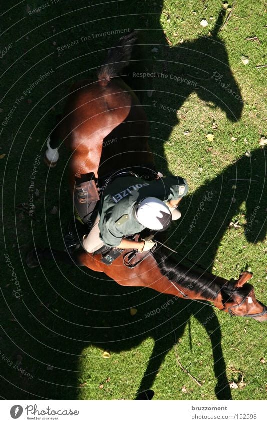 Apocalyptic Rider # 2 Police Officer Police Force Bull Policeman Equestrian sports Horse Shadow Silhouette Uniform Bird's-eye view Public service