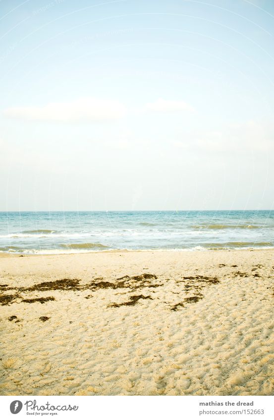 beach picture Beach Sand Ocean Waves Sky Deserted Nature Algae Footprint Air Relaxation Vacation & Travel Vacation destination Blue Summer Water Beautiful