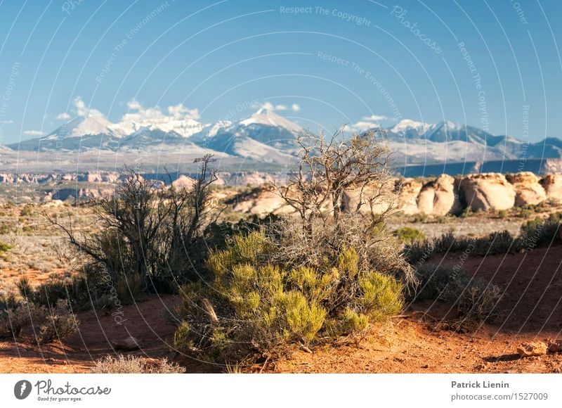 Arches National Park Harmonious Contentment Vacation & Travel Adventure Far-off places Summer Mountain Hiking Environment Nature Landscape Plant Elements Sand