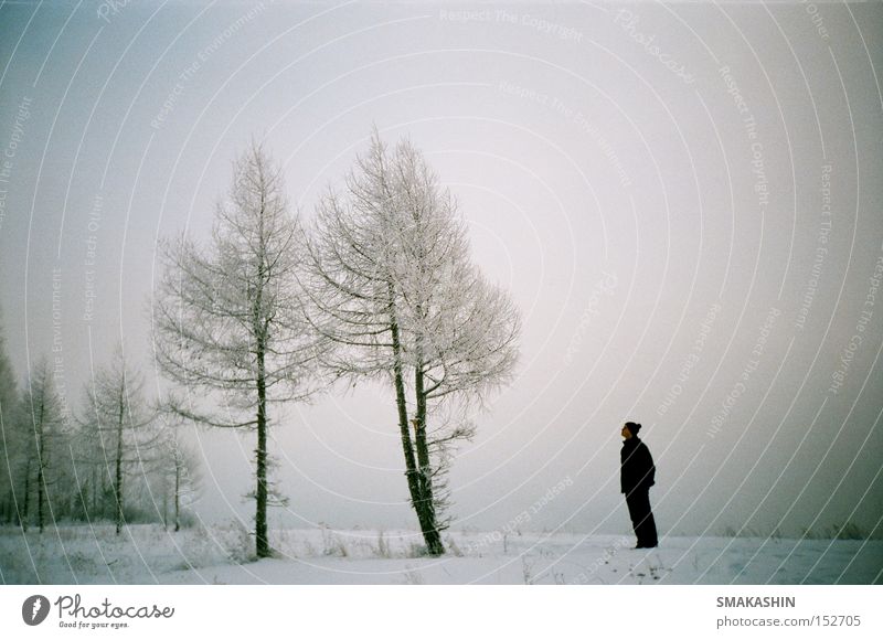 hello, my name is siberia Siberia Tree Ice Black Snow Winter LOMO 135 mm film Russia the Yenisei Embankment -30 C Cold Gale the person's brother the holiday