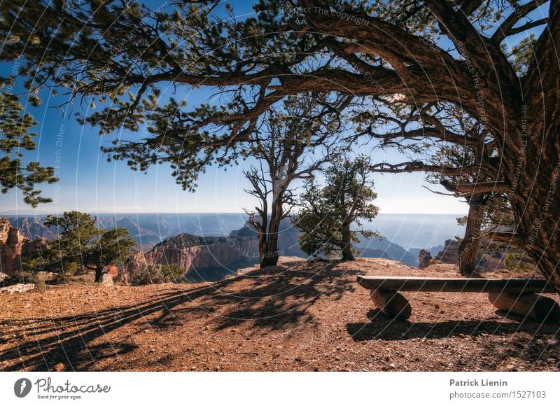 Angels Window Wellness Well-being Vacation & Travel Adventure Freedom Expedition Camping Summer Mountain Nature Landscape Plant Sky Sun Climate Weather Tree