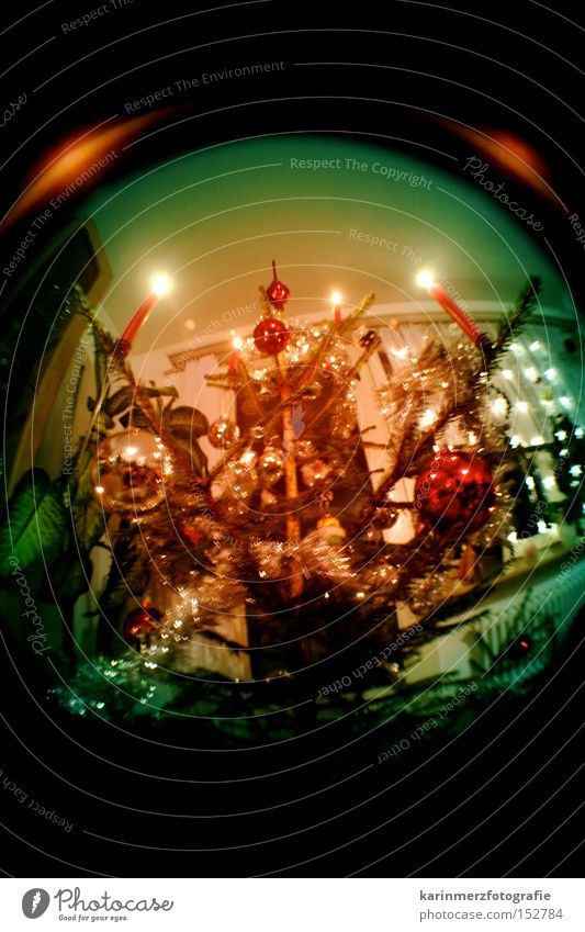 oh tannenbaum... Christmas tree Christmas & Advent Candle Feasts & Celebrations Glitter Ball Evening December Winter Pensive Harmonious Fisheye