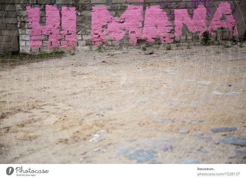 What a crappy day. Feasts & Celebrations Mother's Day Birthday Earth Sand Town Wall (barrier) Wall (building) Lanes & trails Decoration Stone Sign Characters