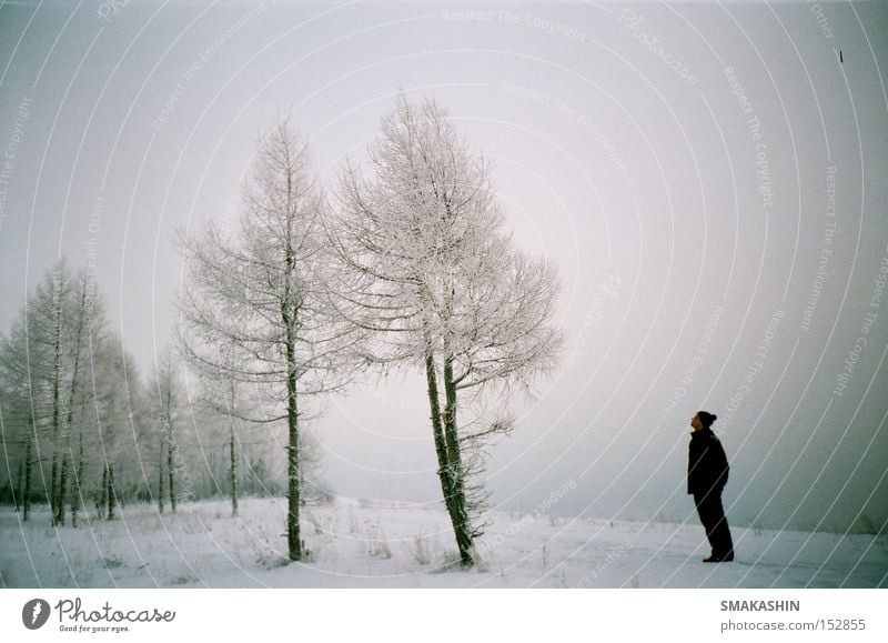 second shot Siberia Tree Ice Black Snow Winter LOMO 135 mm film Russia the Yenisei Embankment -30 C Cold Gale the person's brother the holiday