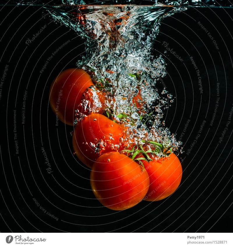 tomatoes Vegetable Tomato Organic produce Vegetarian diet Diet Drinking water Healthy Eating Fresh Delicious Wet Natural Green Red To enjoy Nutrition Splash