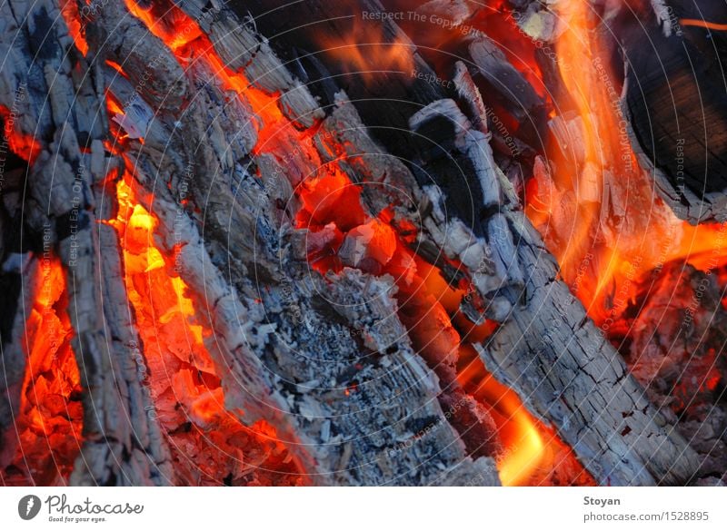 The Hearth Kitchen Wood Hot Bright Warmth Inspiration Art Life Fireplace Colour photo Multicoloured Close-up Detail Deserted Light Shadow Contrast Silhouette