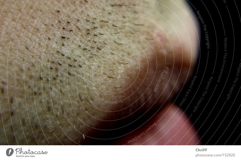 Even without watering it does sprout Facial hair Bad Shaven Mouth Lips Stubble Red Dark Macro (Extreme close-up) Close-up Man