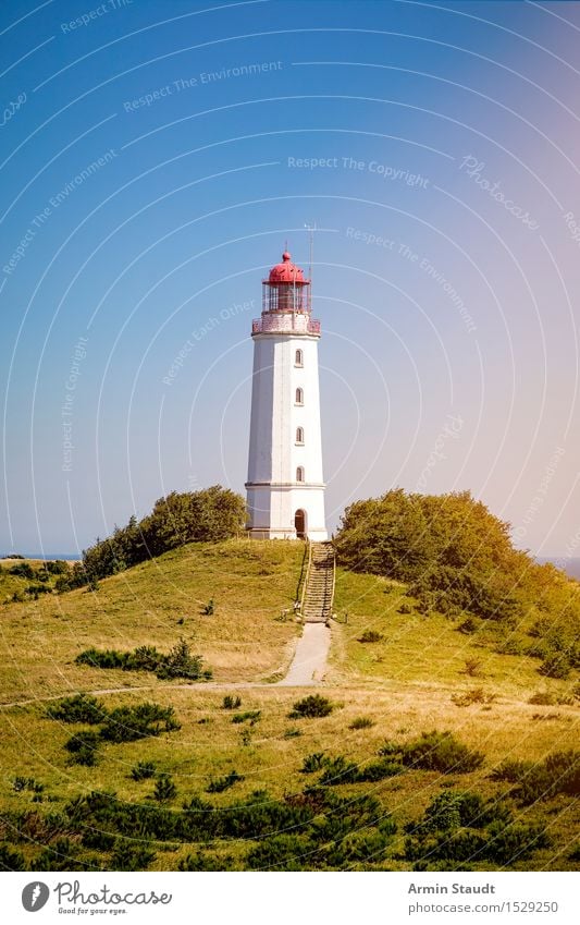 Lighthouse Hiddensee Vacation & Travel Tourism Trip Far-off places Summer Summer vacation Island Nature Landscape Cloudless sky Beautiful weather Tree Hill